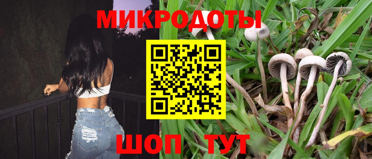 Псилоцибиновые грибы мицелий  Вход с VPN  купить  сайты  Кумертау 